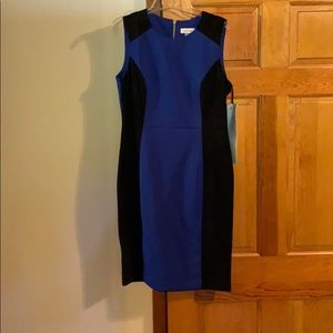Calvin Klein blue and black dress